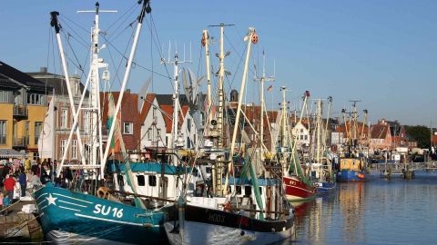 Hafenkulisse Krabbentage TSMH © Tourismus und Stadtmarketing Husum GmbH