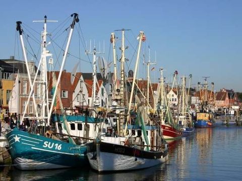 Husumer Krabbentage TSMH © Tourismus und Stadtmarketing Husum GmbH