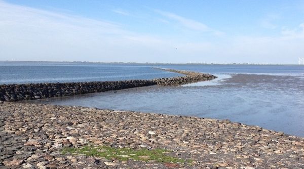 wattenmeer
