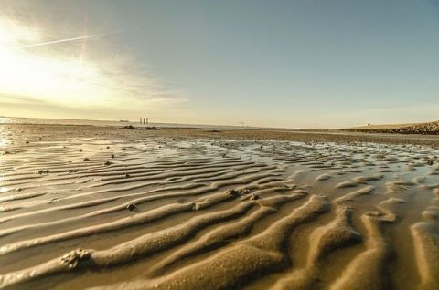 wattenmeer