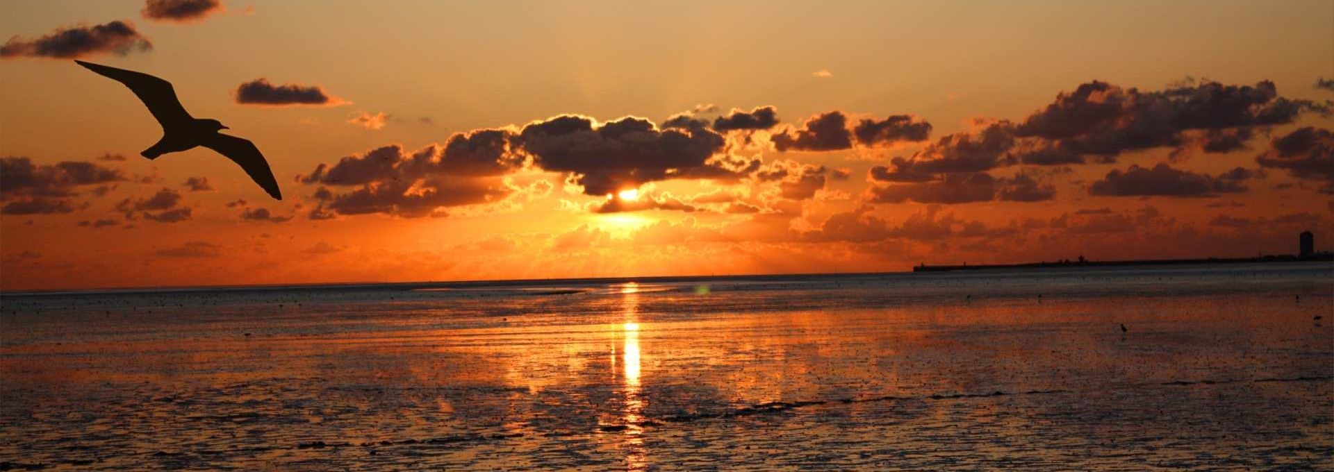 sonnenuntergang wattenmeer