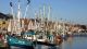 Hafenkulisse Krabbentage TSMH © Tourismus und Stadtmarketing Husum GmbH