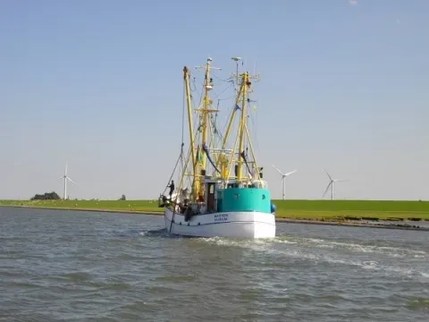 crab cutter tsmh c tourismus und stadtmarketing husum gmbh