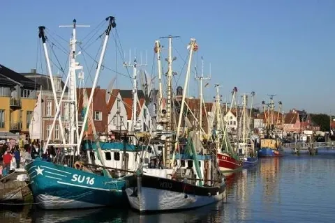 husumer krabbentage tsmh c tourismus und stadtmarketing husum gmbh